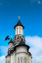 gabrielmarian 
Peace 
2019-06-05 10:04:46