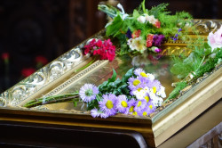 jarek11 
Flowers for God. 
2019-06-13 18:43:06