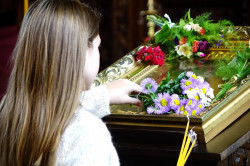 jarek11 
In St. Nicholas Orthodox church in Stara Zagora 
2019-06-15 22:35:41