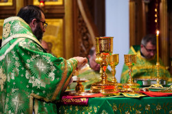 jarek11 
The Holy Spirit feast in Holy Spirit church in Białystok 
2019-06-17 22:49:54