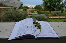Sheep1389 
Service of Pentecost and glance on the Mediterrean Sea 
2019-06-19 11:21:11