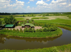 jarek1 
Odrynki 
2019-06-21 18:41:12