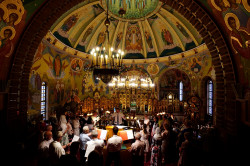 jarek11 
The Holy Spirit feast in Holy Spirit church in Białystok 
2019-06-21 18:45:59