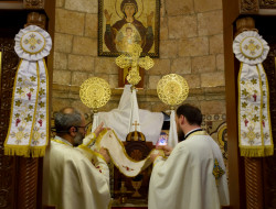 Sheep1389 
I believe in the One Church... 
2019-06-22 10:38:56