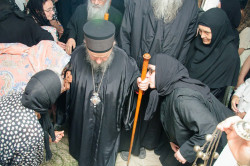 mmilenovakovic 
Владика 
2019-06-22 12:20:41