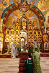 jarek 
The Holy Spirit feast in Holy Spirit church in Białystok 
2019-06-23 19:24:36