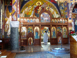 Подунавац 
Видовдан у Осијеку 28.6.2019 
2019-06-28 12:57:43