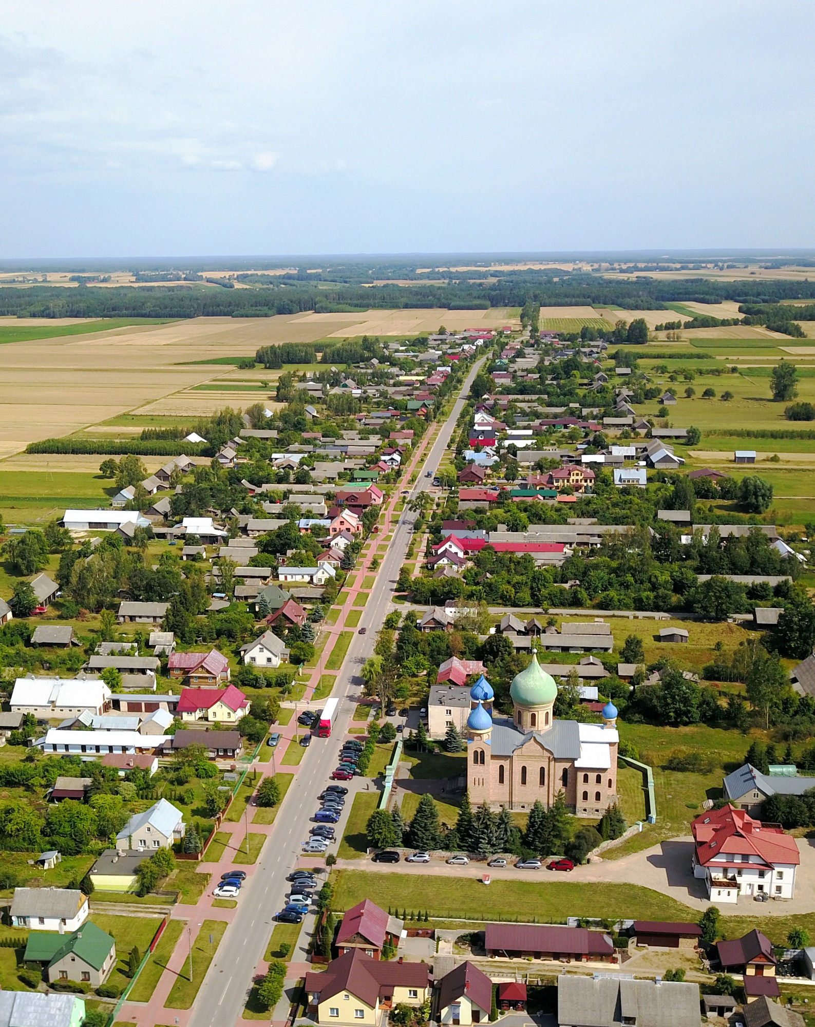 Czyże