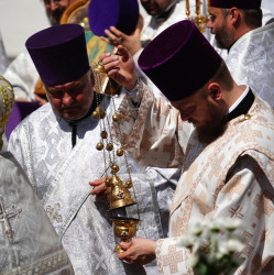 jarek11 
Feast of Białostocka Icon of the Mother of God in St. Nicholas Cathedral in Białystok 
2019-07-01 15:03:00