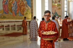 alik 
Ortodox Cathedral in Tirana 
2019-07-02 23:38:15