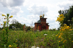 jarek 
The Orthodox church in Zbucz 
2019-07-19 07:56:14