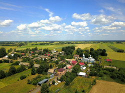 jarek11 
Pasynki 
2019-07-23 18:27:12