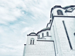 modran1458 
Врачар 
2019-07-30 08:49:22