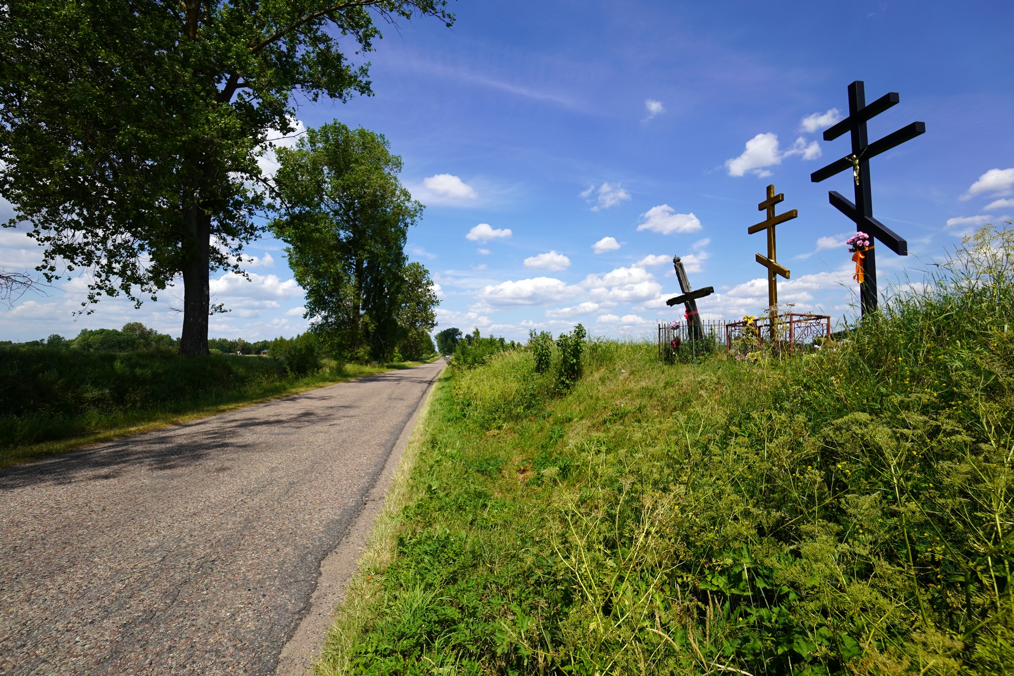 Crosses close to Krzywa village