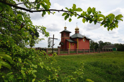 jarek 
The Orthodox church in Zbucz 
2019-08-03 08:06:34