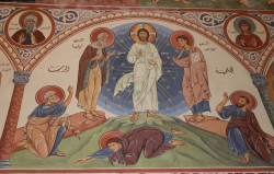 Sheep1389 
Transfiguration fresco in An-Natour monastery 
2019-08-04 22:17:59
