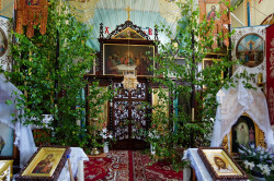 jarek 
The Orthodox church in Lewkowo Stare  
2019-08-11 17:54:26