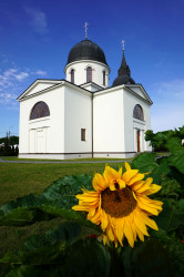 jarek1 
The Orthodox church in Zabłudów 
2019-08-11 18:02:24