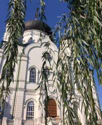 ElenaD 
Благовещенский кафедральный собор в Воронеже  
2019-08-16 06:31:33
