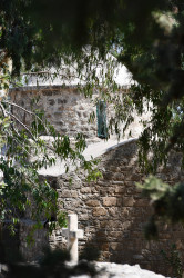 NikiNikolaou 
Άγιος Θεοδόσιος, Αχέλεια, Πάφος - Saint Theodosios, Achelia, Pafos 
2019-08-19 09:43:18