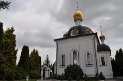 bogdan 
Багратионовск 
2019-08-22 12:20:16