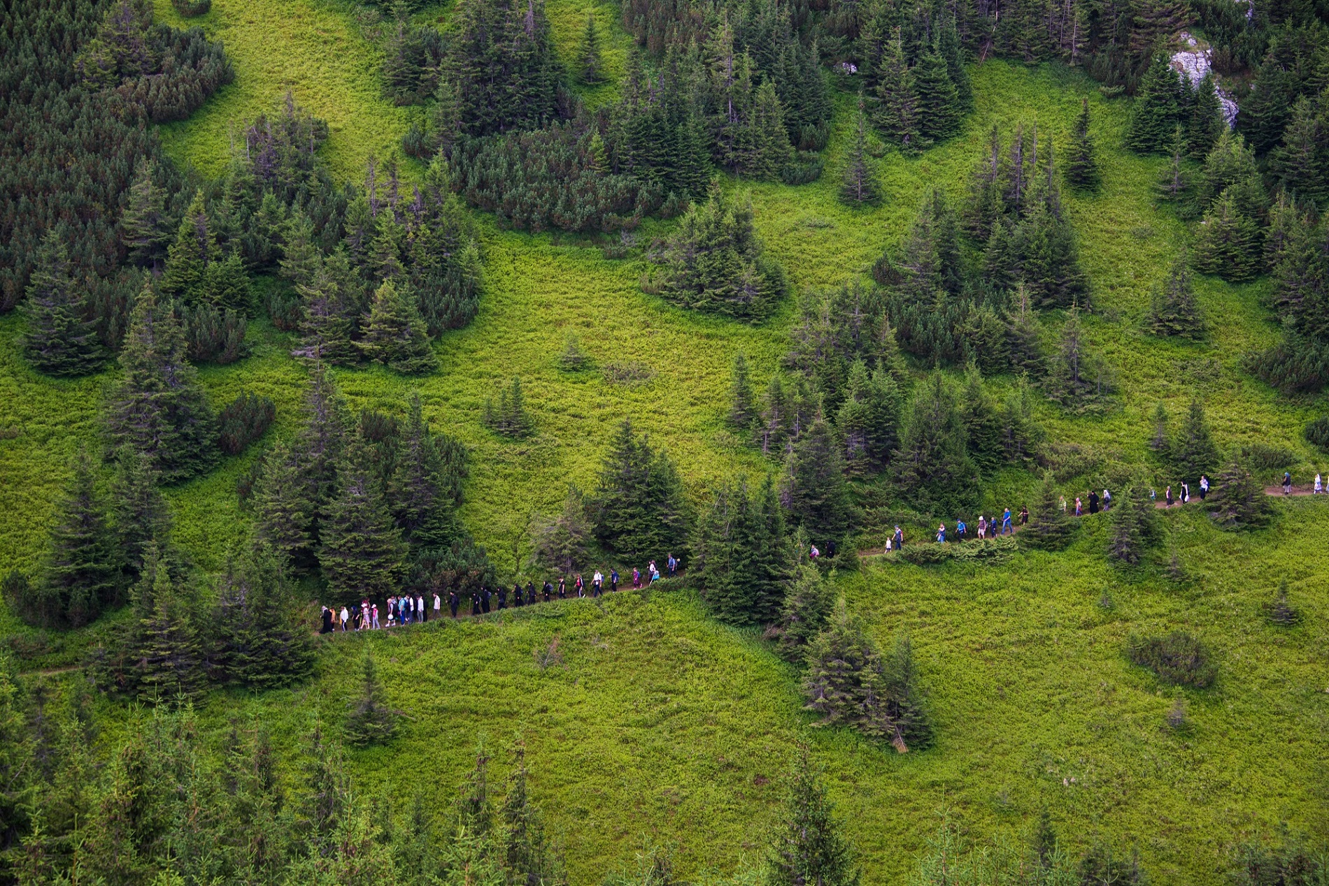 Pilgrims to The Monastery from Ceahlau Mountain (Romania) at The Feast Of Transfiguration