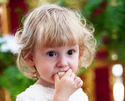 jarek11 
Dormition of the Mother of God feast in Juszkowy Gród 
2019-09-04 14:38:26