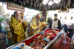 Rusu Tudorel 
Pious Saint Paraskeva of Iasi - holy relics 
2019-09-12 00:12:06