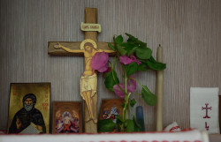 Sheep1389 
Flowers from the Cross at its Exaltation feast 
2019-09-19 11:07:47