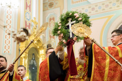lukasz 
Święto Podwyższenia Krzyża Pańskiego 
2019-09-26 21:28:34