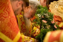 lukasz 
Metropolita Sawa 
2019-09-26 21:33:51