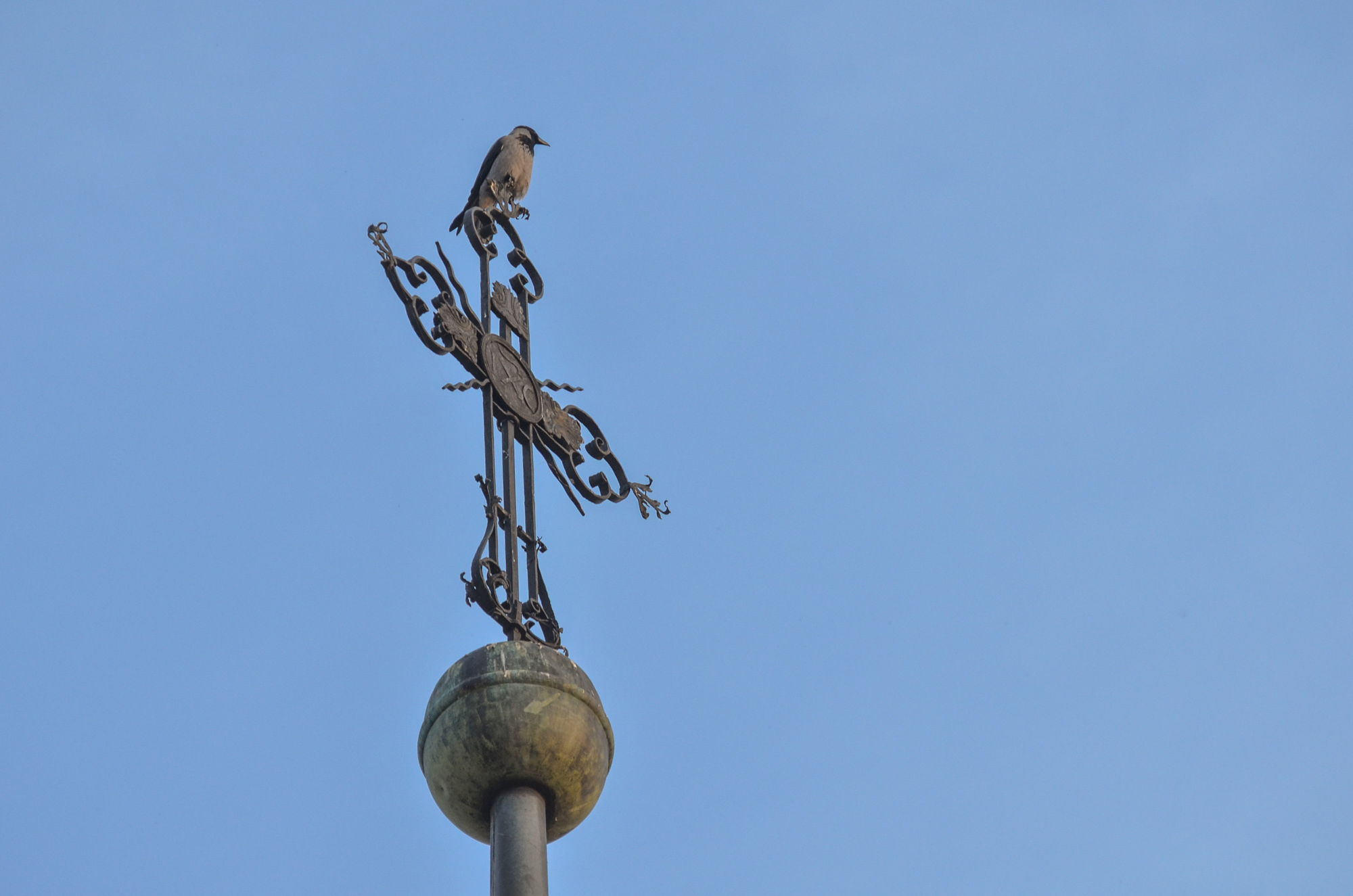 Crow and the Cross