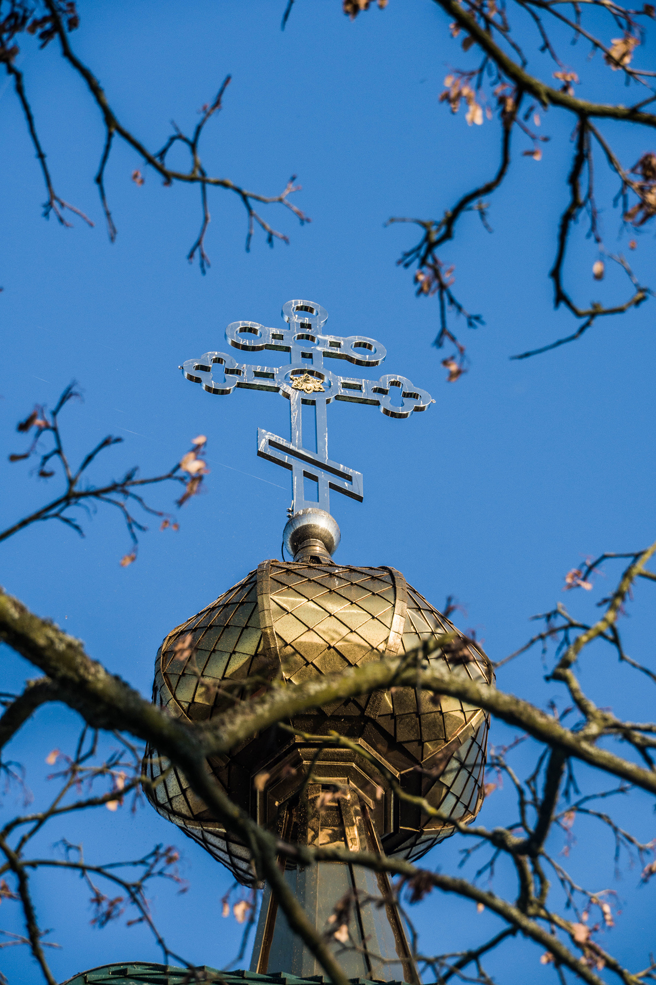 Trześcianka. 1.