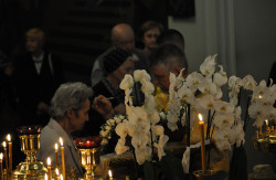 bogdan 
Święto Aleksandra Newskiego w Sokółce 2019 
2019-10-22 16:30:03