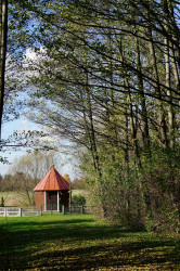 jarek1 
The Orthodox chapel in Piatienka 
2019-11-02 20:05:39