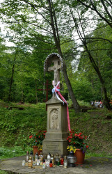 Sheep1389 
A cross on the Holy Mount Jawor 
2019-11-11 11:11:45