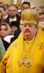jarek11 
Archbishop Abel 
2019-11-25 08:15:31