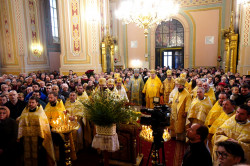 jarek1 
40th anniversary of Metrooplitan Sawa episkopal ordination 
2019-11-29 10:44:12
