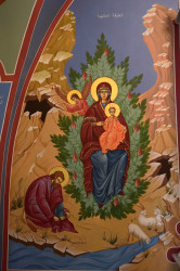 Sheep1389 
The Burning Bush seen by Moses - monastery An-Nouriyyeh 
2019-12-14 08:56:49