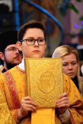 jarek1 
Knigodierzhec 
2019-12-22 17:34:13