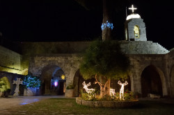 Sheep1389 
Balamand monastery for Christmas time 
2019-12-29 23:14:51