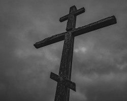 mateuszkoc 
Cross 
2019-12-30 17:58:54