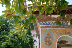 Sheep1389 
Fresco of st. Matthew in Bachkovo monastery 
2020-01-15 20:29:20