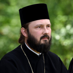 palavos 
Bp Paweł  
2020-01-15 22:45:11