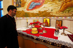 jarek11 
The Divine Liturgy in Ressurestion of Christ Cathedral in Tirana  
2020-01-27 23:27:10