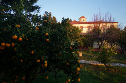 jarek 
St. Vlash Monastery  
2020-01-29 22:26:43