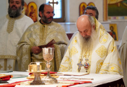 jarek11 
The Divine Liturgy in Ressurestion of Christ Cathedral in Tirana 
2020-02-03 22:06:40