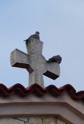 jarek 
St. Vlash Monastery 
2020-02-05 22:09:37