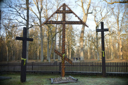tparol 
Krynoczka 
12 
2020-02-06 22:58:42