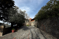 alik 
Monaster Machairas 
2020-02-10 11:58:39